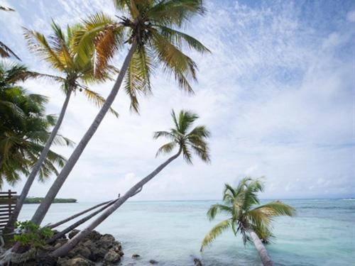 Coco Beach Marie-Galante Grand-Bourg  Esterno foto